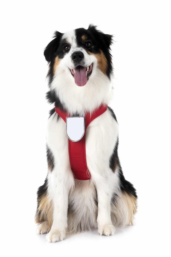 How can you customize your sport bike's lighting for better visibility in UK foggy conditions?